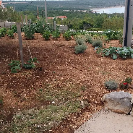 With Parking Space Krusevo, Novigrad - 17149 *